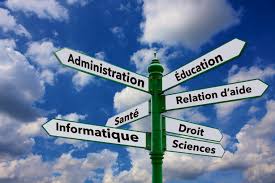 Consultation par téléphone apportant de la clarté professionnelle